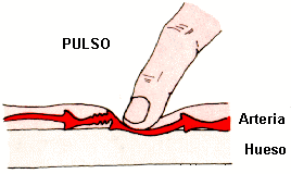 Pulso Triangular PULSO by Miguel Mares - Infogram