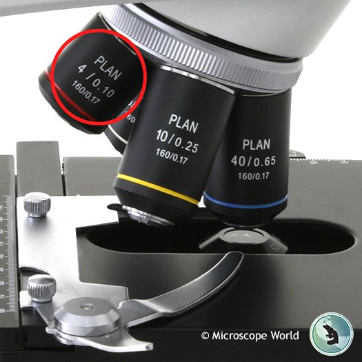Microscopes by Ada Wilson - Infogram