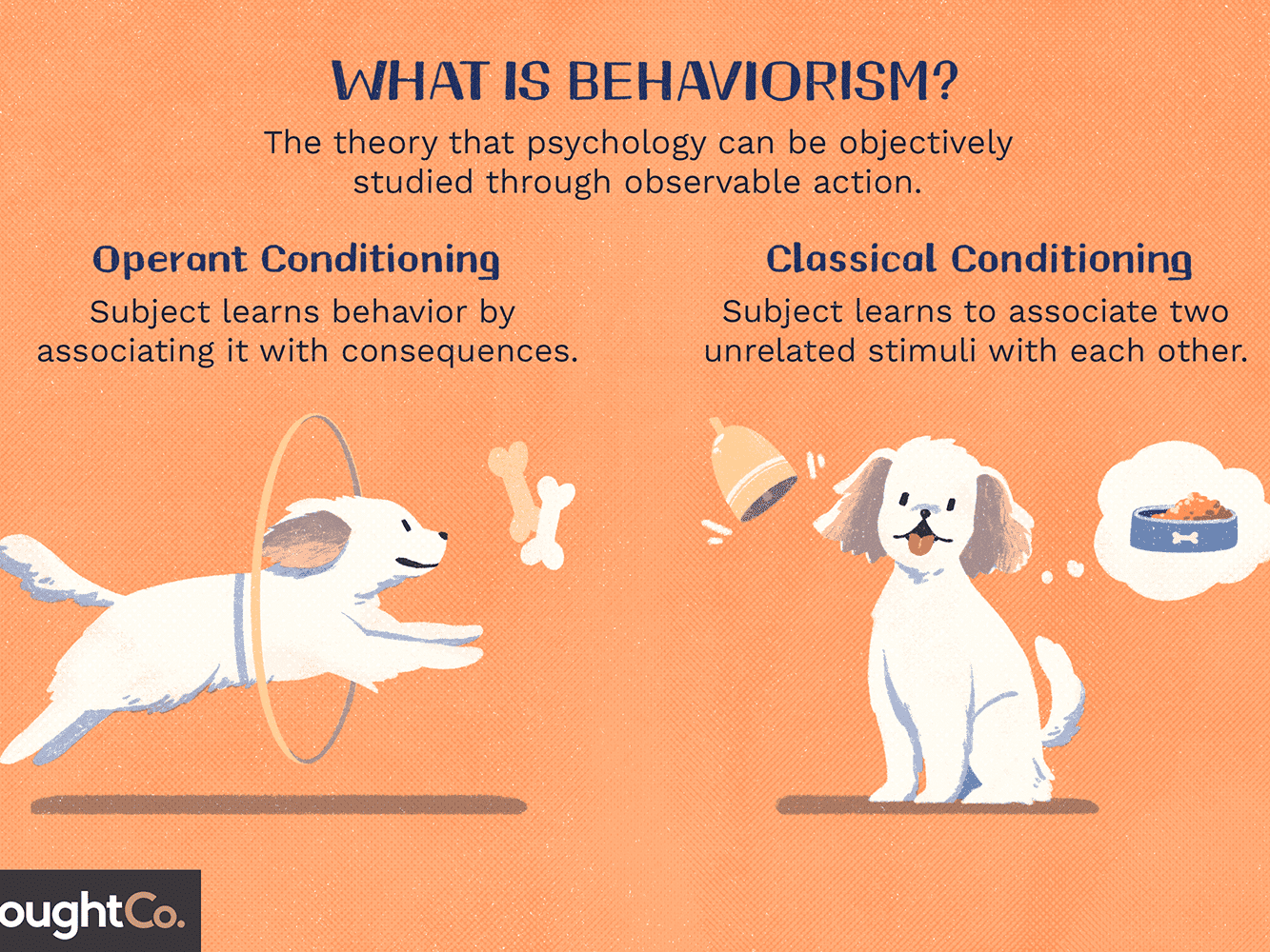 FIRST LANGUAGE ACQUISITION THEORIES by Kimberly Canales - Infogram