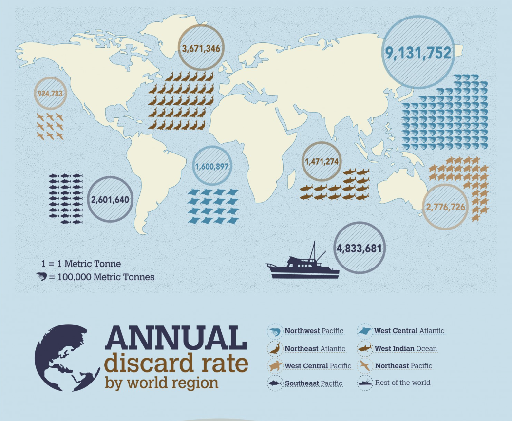 Overfishing Jack Infographic by Jack Hunt - Infogram