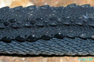 Porno qichqiriqlar qattiqroq boladi