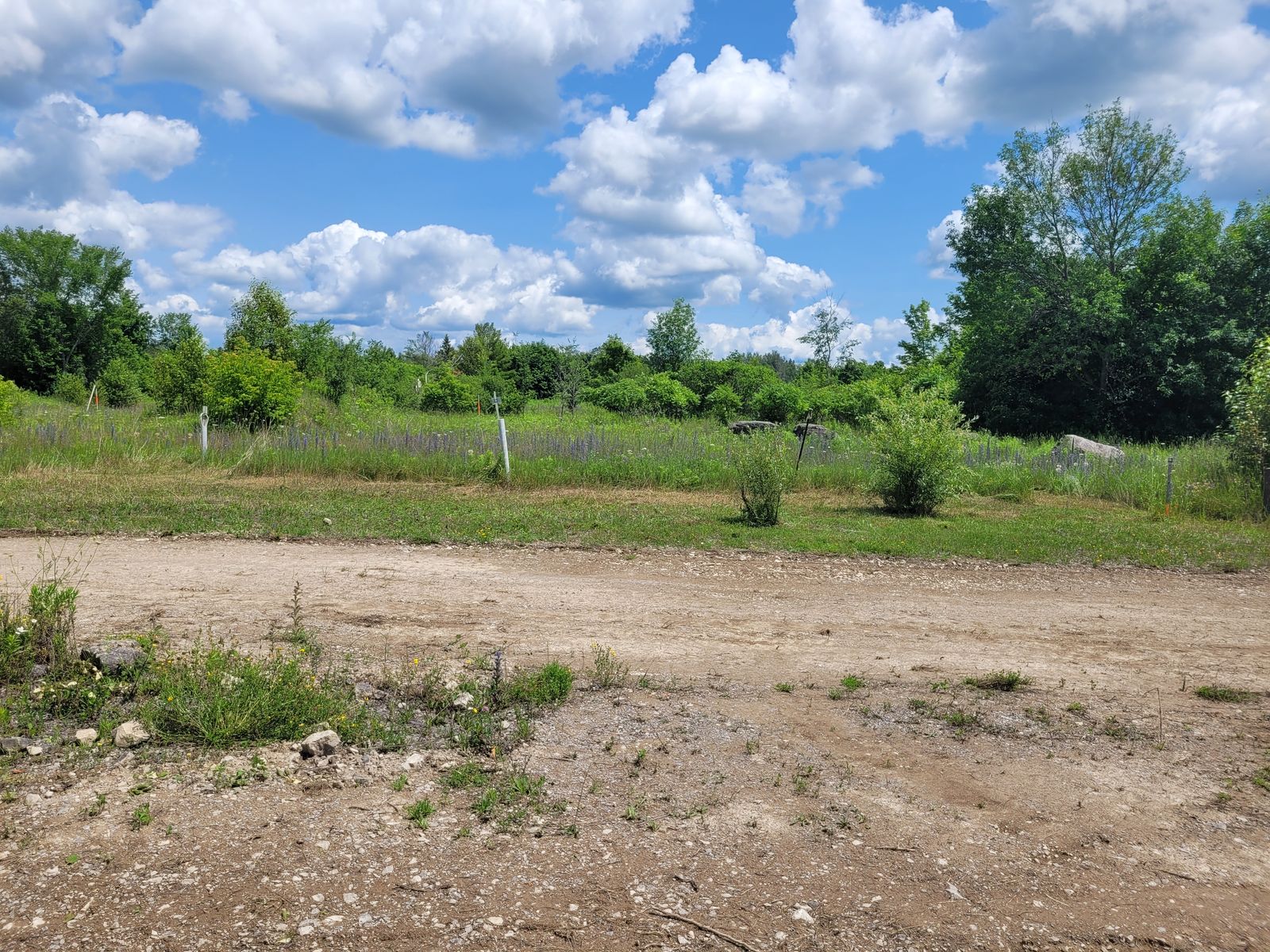 1728 County Road 121 Fenelon Falls by Creiland Consultants - Infogram