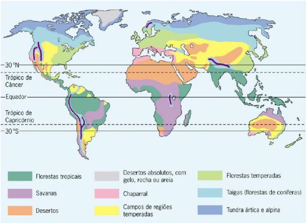 Mapa Da Floresta Temperada Floresta Temperada E Vegetação