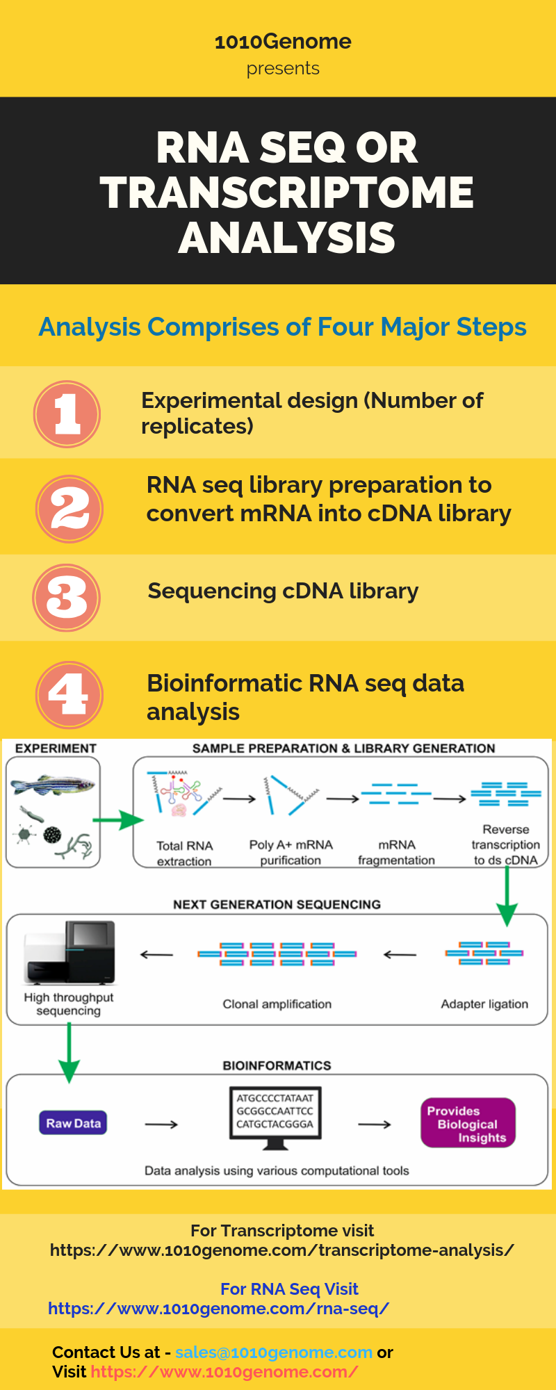 RNA Seq or Transcriptome Analysis - 1010Genome by 1010Genome Pte Ltd ...