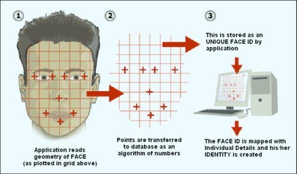 AP Computational Artifact by Amalee Tucker - Infogram