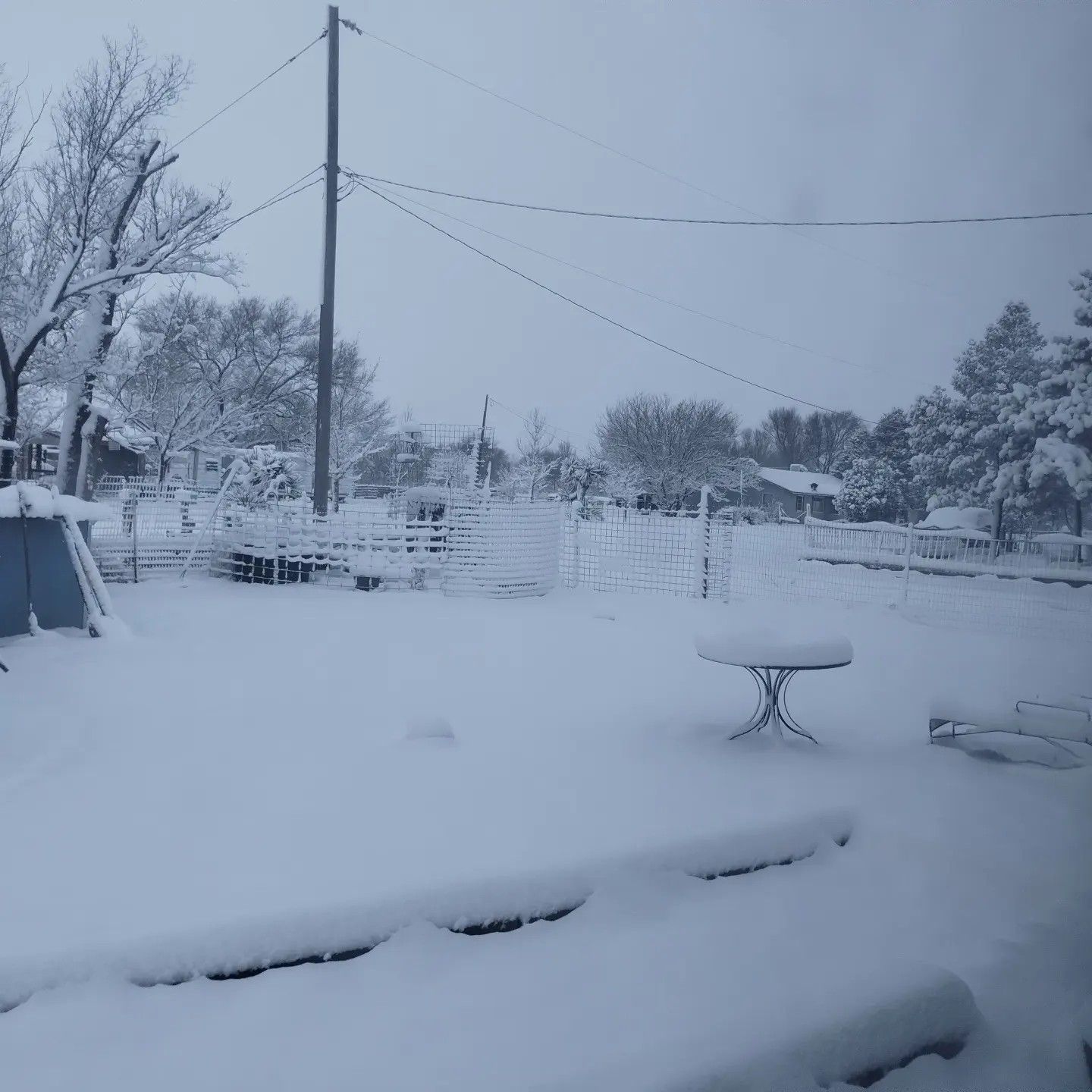 Snow In Albuquerque New Mexico PHOTOS: First Winter Storm Of 2024 In