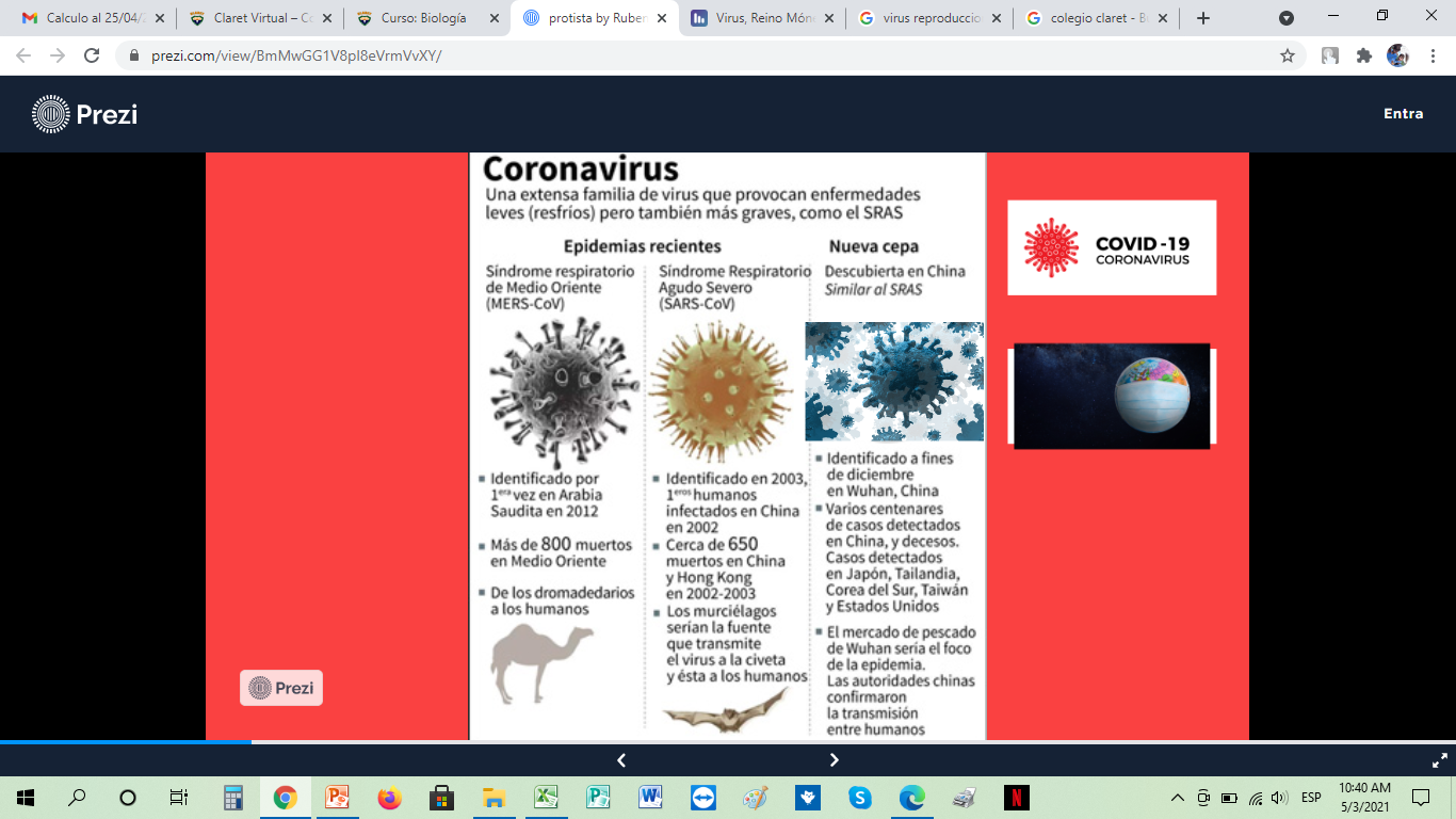 Infografía de los Virus, Reino Mónera, Protista y Fungi (Gabriel Sanginés  4to B) by GABRIEL ALBERTO SANGINES S - Infogram