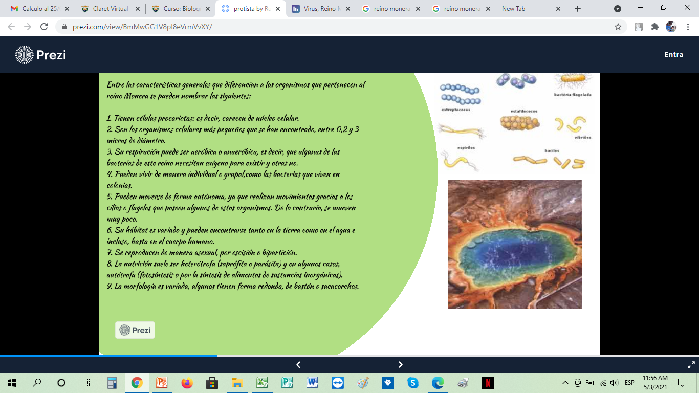 Infografía de los Virus, Reino Mónera, Protista y Fungi (Gabriel Sanginés  4to B) by GABRIEL ALBERTO SANGINES S - Infogram