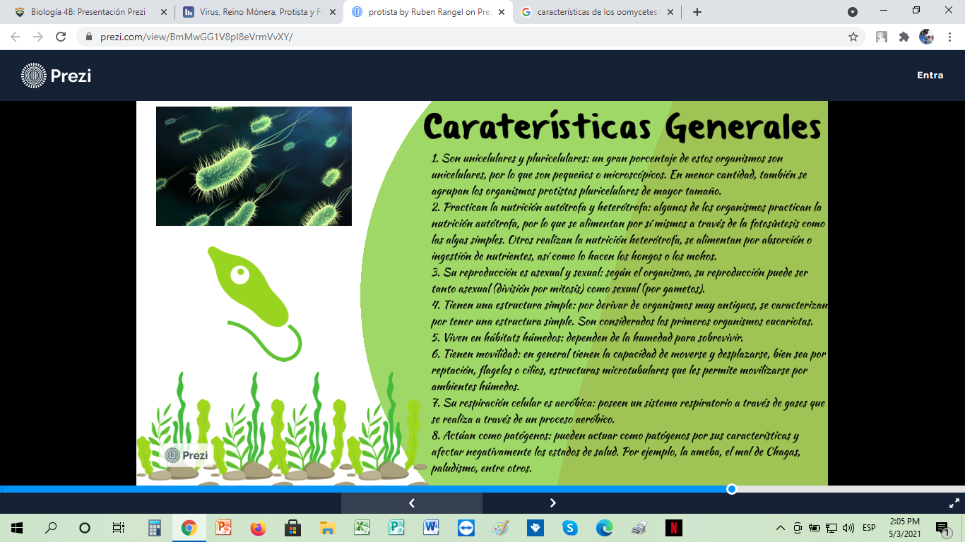 Infografía de los Virus, Reino Mónera, Protista y Fungi (Gabriel Sanginés  4to B) by GABRIEL ALBERTO SANGINES S - Infogram