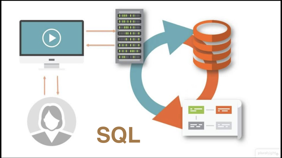 Infografía sobre el lenguaje SQL by Franklin Velasquez - Infogram