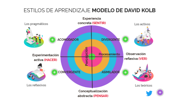 Gráficos De Diferentes Estilos De Aprendizaje